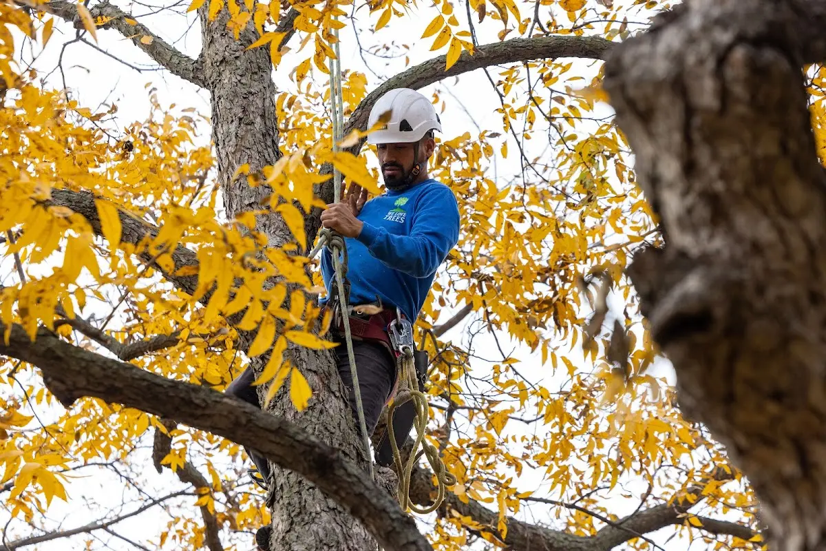 Skilled Storm Damage Cleanup crew working in Usk